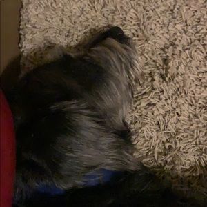 Meet your Posher, Lynette